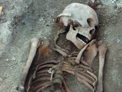 В Казахстане найден скелет великана